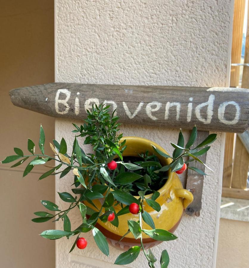 Raco Del Garraf Ca La Matilde House Bbq And Pool Villa Olivella Luaran gambar